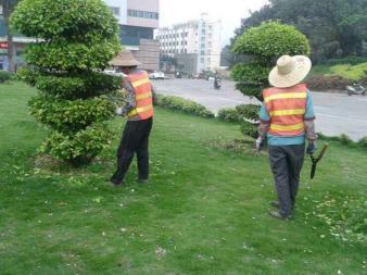 園林綠化施工、養(yǎng)護,草皮銷售及種植,園區(qū)、市政等改造工程