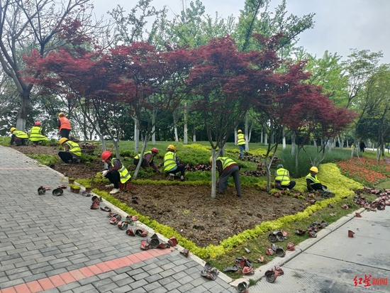 天府黃、錦官橙、太陽神鳥 成都三環路換上了新裝你注意到了嗎