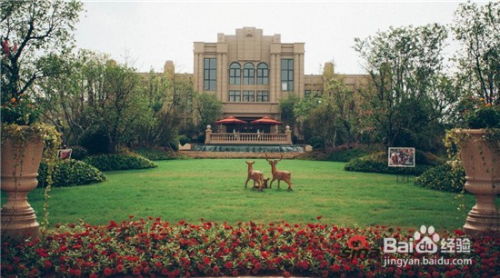 園林綠化施工中球類(lèi)及花灌木的種植要點(diǎn)