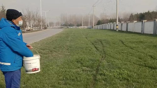 勤梳妝 綠護忙 四招聚力園林綠化精細化管養(yǎng)與工程施工